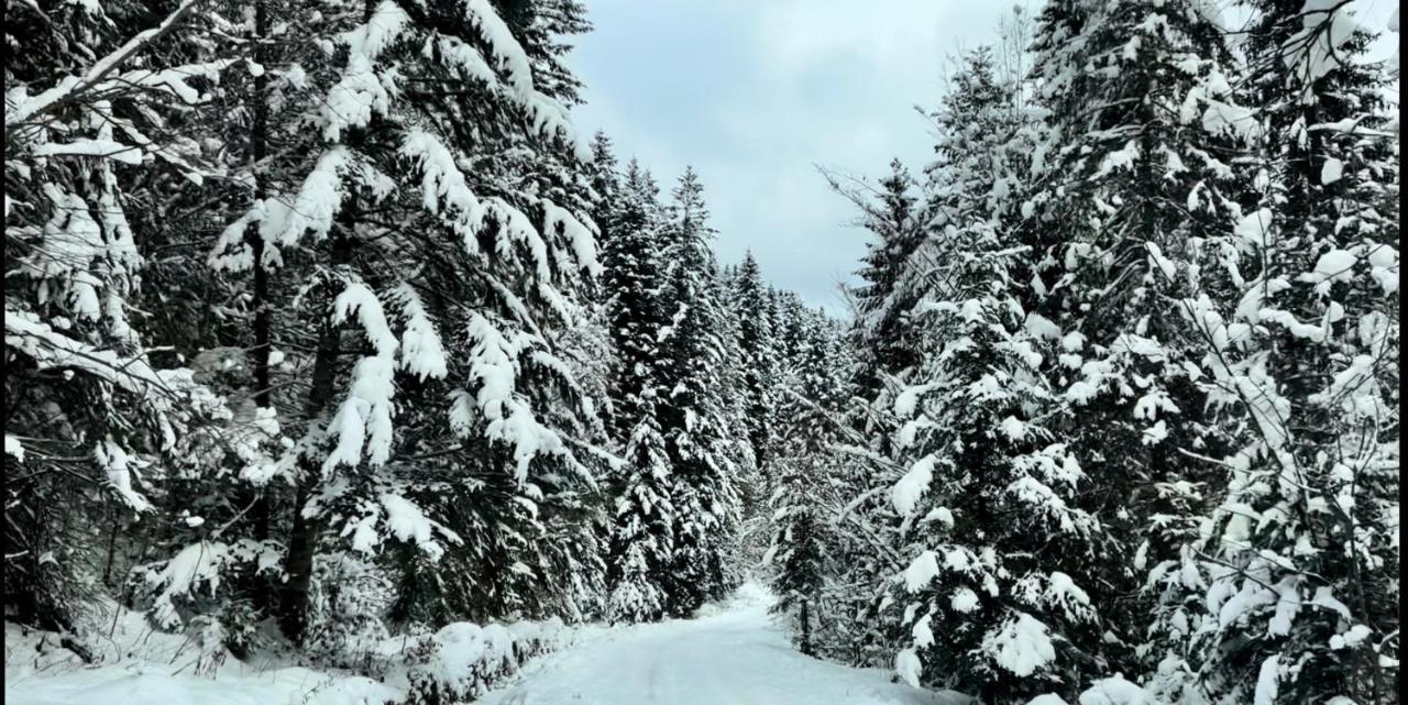 Private House Scherbovets Zjdenjevo Eksteriør bilde